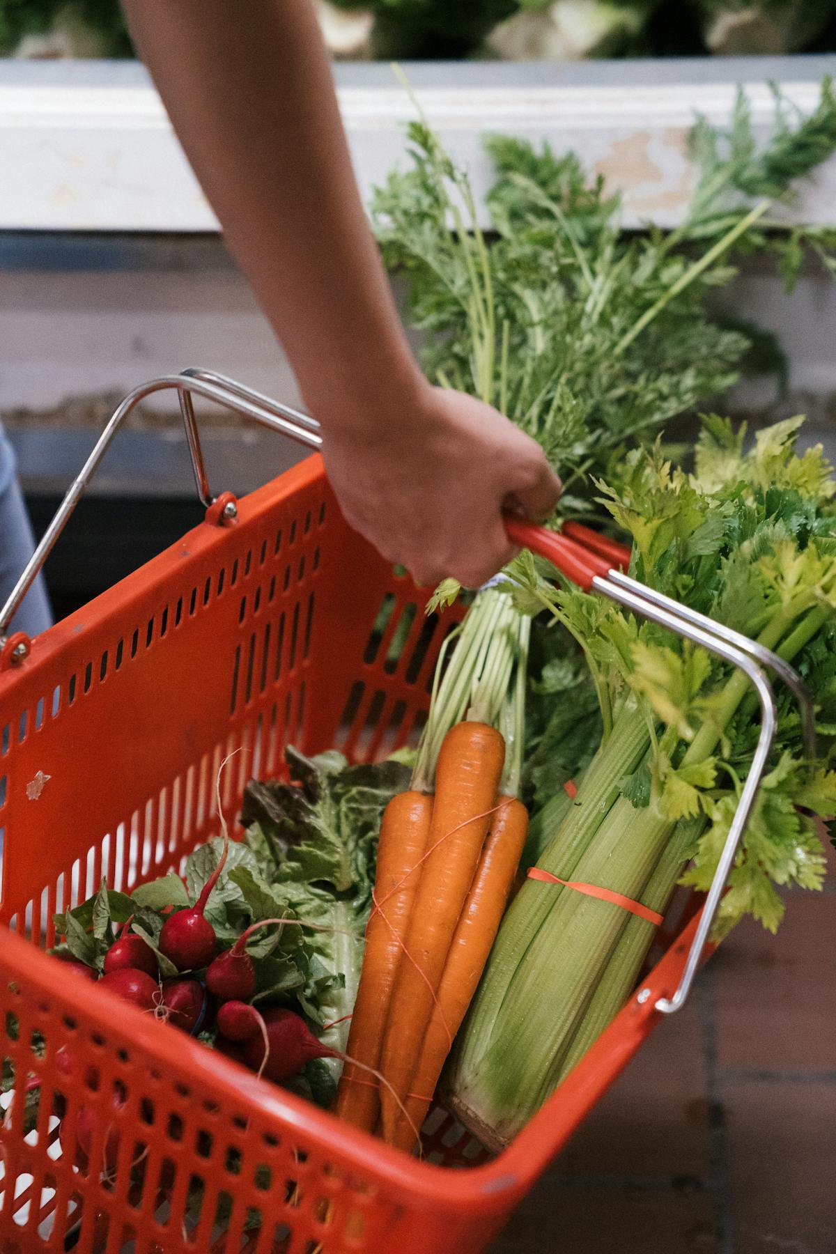 Basket with fresh vegetables